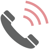 Phone Icon