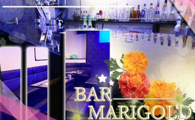 Bar Marigold