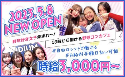 ベリーズスタジアム