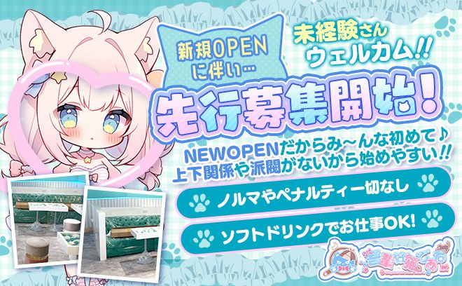 💗🐱2025年5月NEW OPEN🐱💗《猫メイド系コンカフェ》ブルー・ホワイトの内装でおキュイン💝💝
