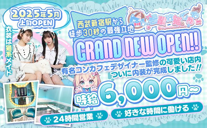 💗🐱2025年5月NEW OPEN🐱💗《猫メイド系コンカフェ》ブルー・ホワイトの内装でおキュイン💝💝
