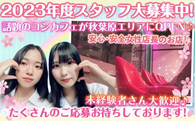Cafe & Bar moco（モコ） 秋葉原