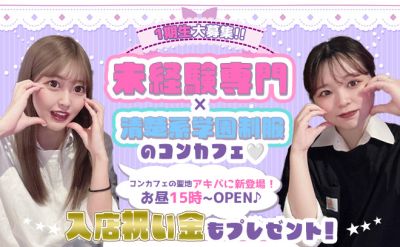 Cafe & Bar moco（モコ） 秋葉原